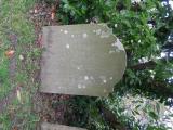 image of grave number 563654